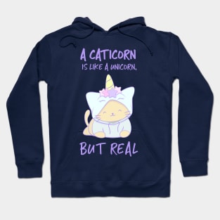 Cute Kitty Cat Unicorn - Kawaii Caticorn Hoodie